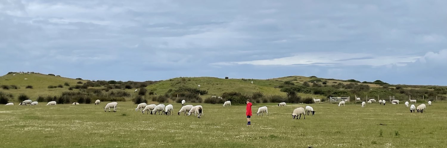 Elizabeth Ryan banner