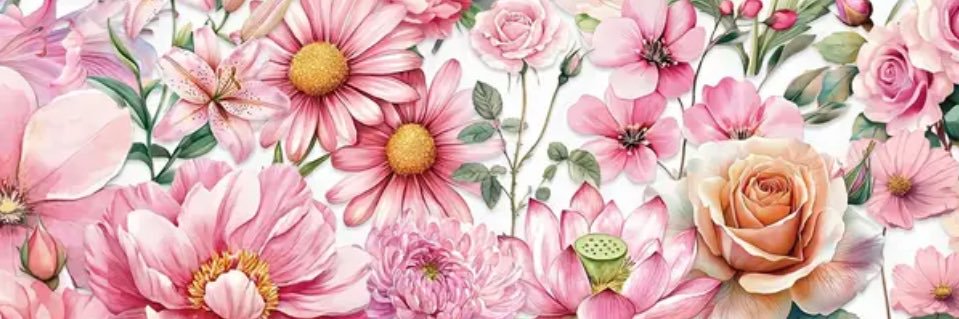 areejs34's profile banner image