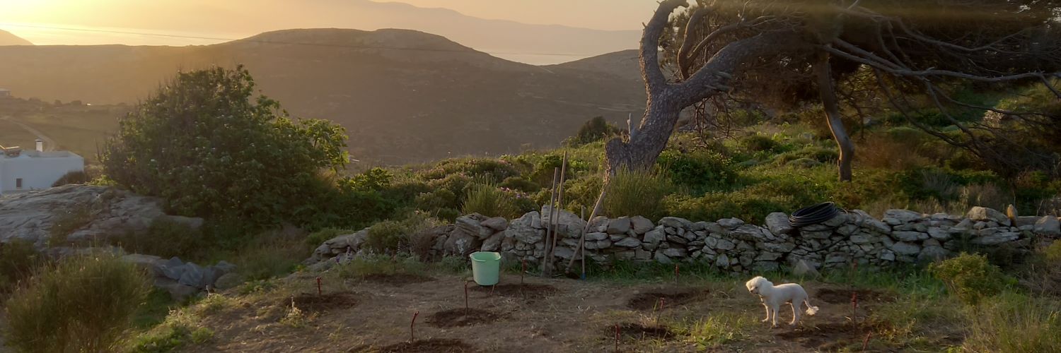 asperanski's profile banner image