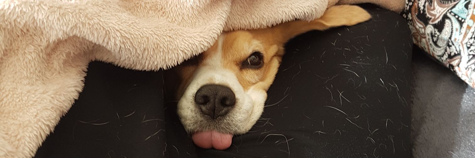 xB0sse's profile banner image