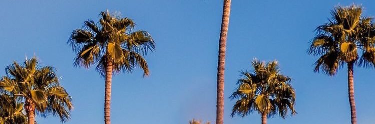 elfriestha's profile banner image