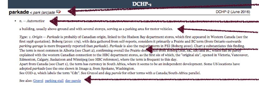 Stef Dollinger @canelab.bsky.social banner