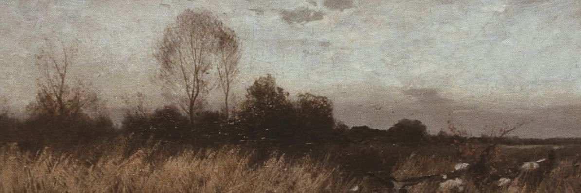 qx3_111's profile banner image