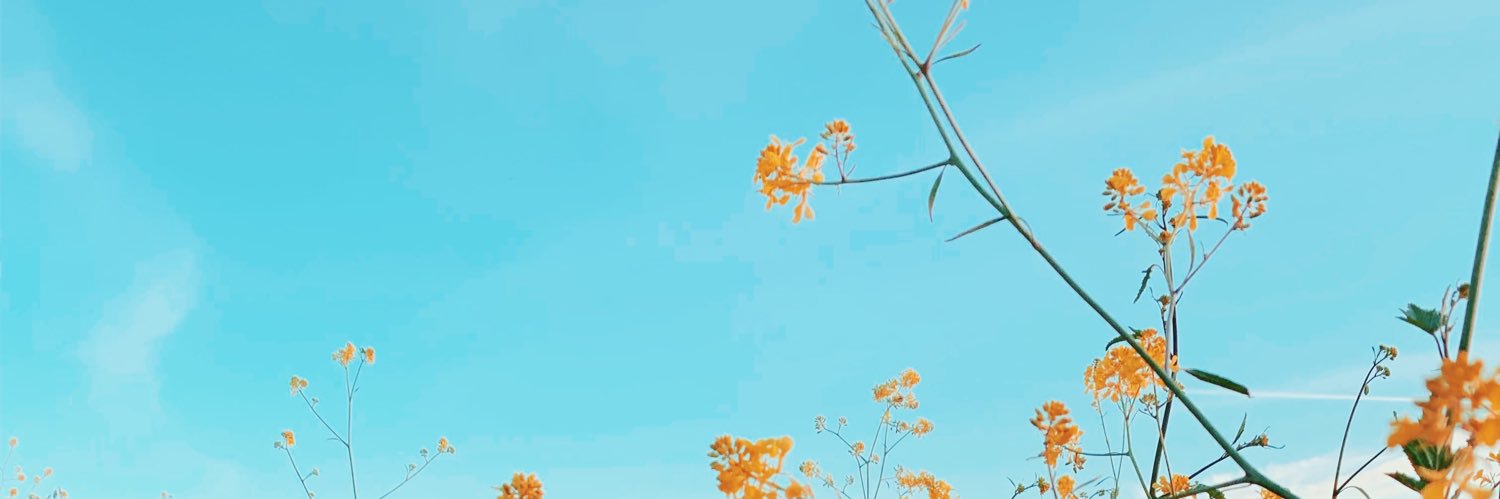 kyrabiggam's profile banner image