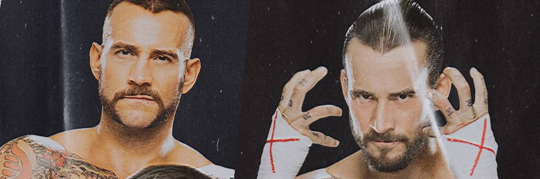 bestofcmpunk's profile banner image