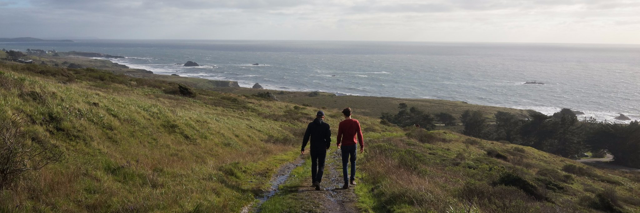 Will Marquardt banner