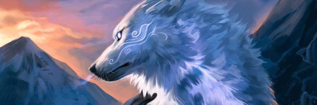KindredWolf78's profile banner image