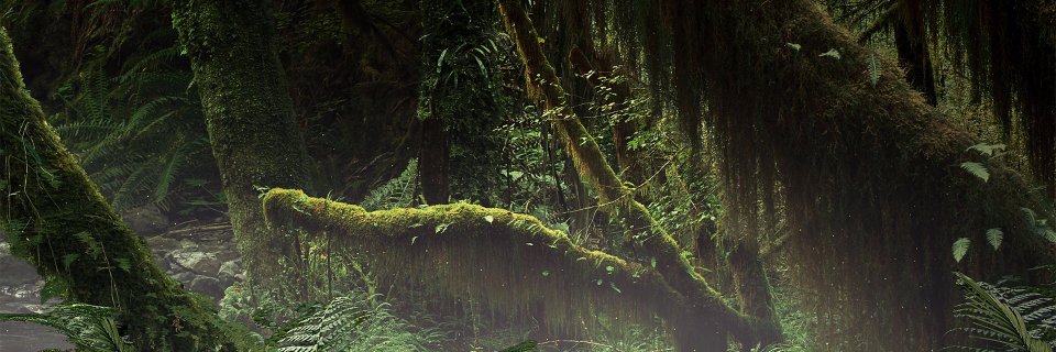 🦖A Dead Dinosaur🦖 banner