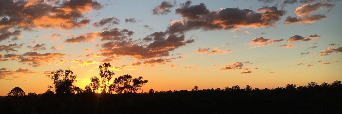 SenayLees's profile banner image