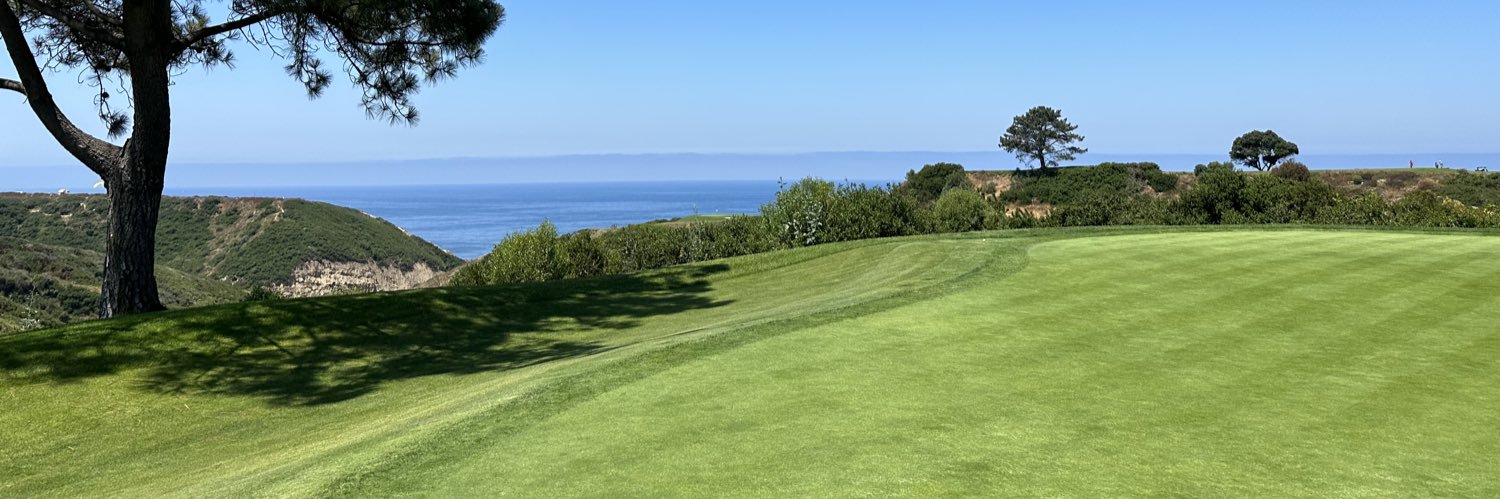 Nicholas Couillard banner