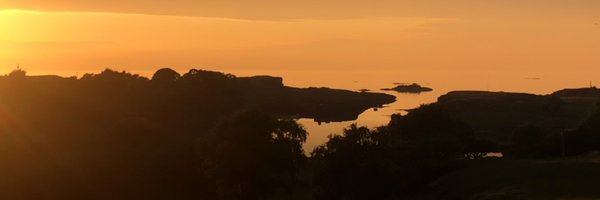 drheidismith Profile Banner