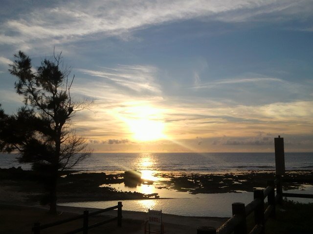 みちる⭐︎ネコ科 banner