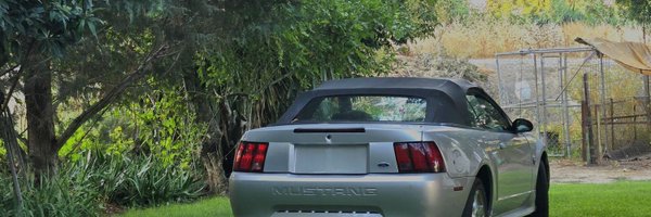 _lisagnomo Profile Banner