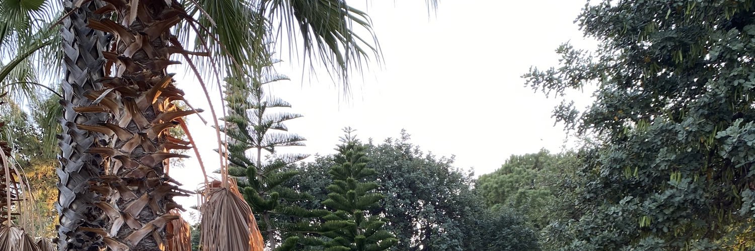 guneseb's profile banner image