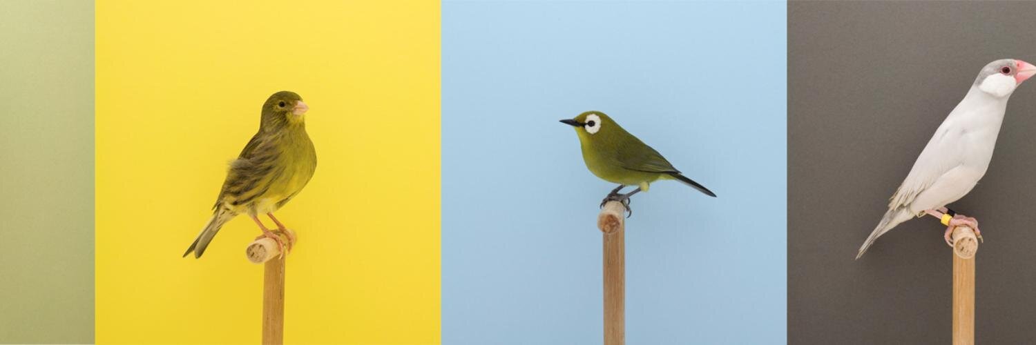 Incomdictionary's profile banner image