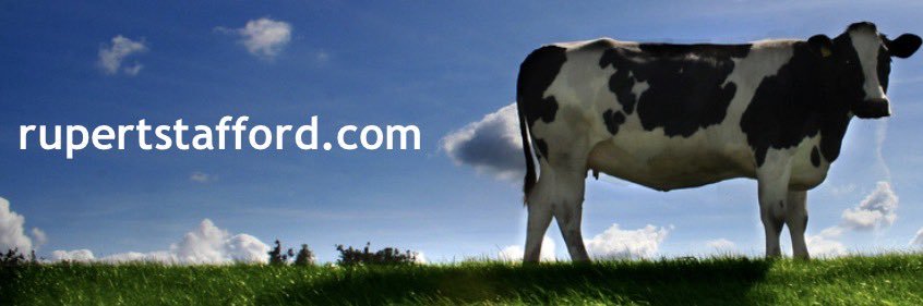 Rupert Stafford banner