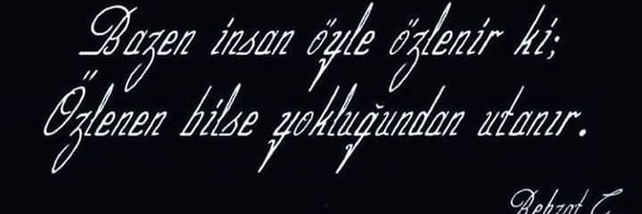 LArikoglu's profile banner image