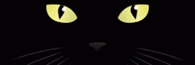 angelfaceallen's profile banner image