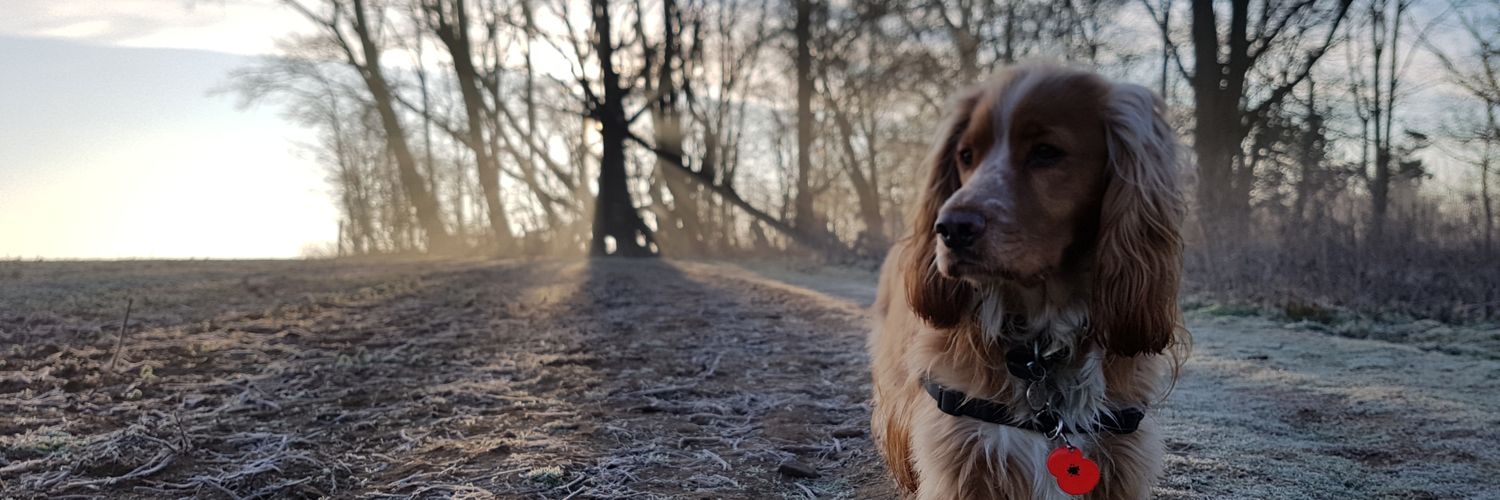 berbyq's profile banner image