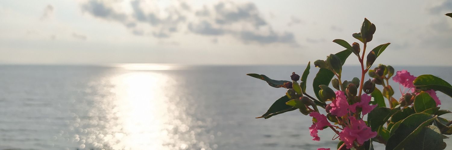 billaaf's profile banner image
