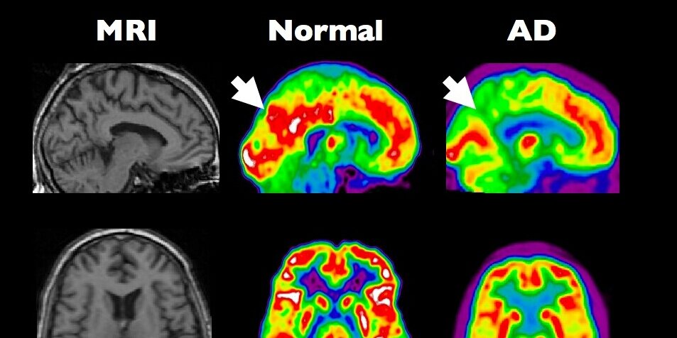 Neuroskill's profile banner image