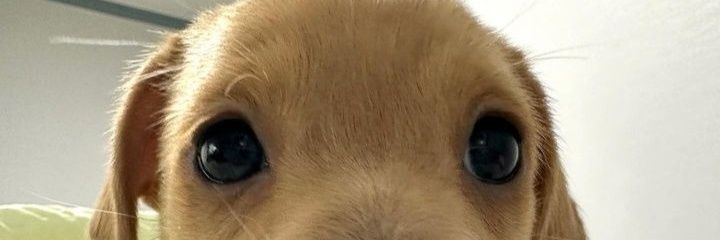 myrezandy's profile banner image