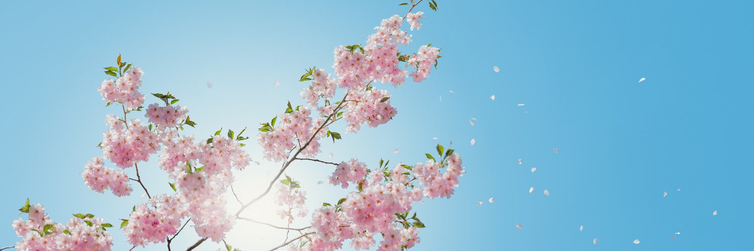 aberhealing's profile banner image