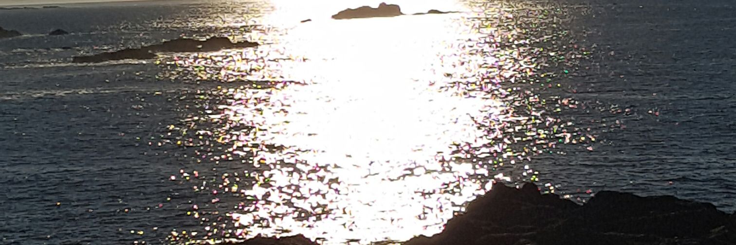 ChusVeiga1's profile banner image