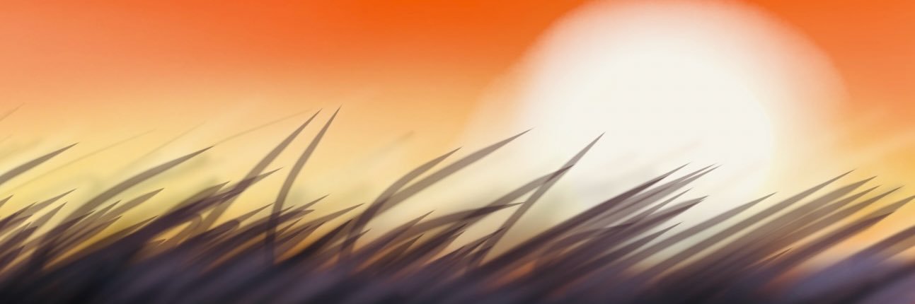 shima_taruleo's profile banner image