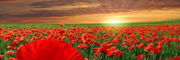 MariaRiart1 Profile Banner