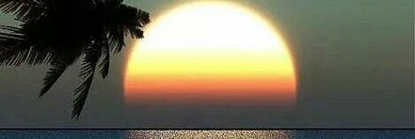 rani_dhiman's profile banner image