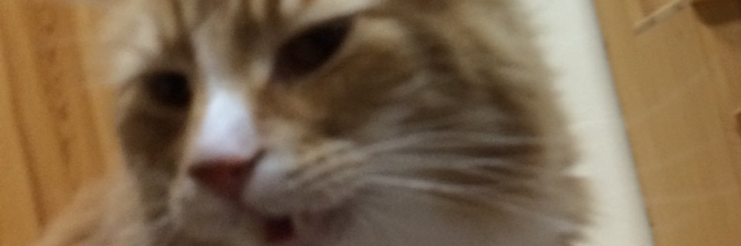 Cyatakoro's profile banner image