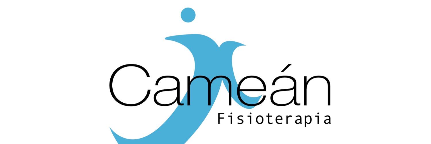 Camean_'s profile banner image