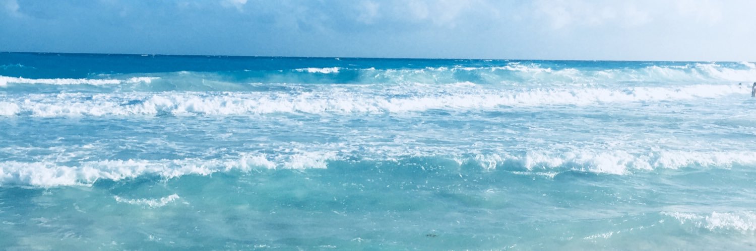 BaroPau's profile banner image