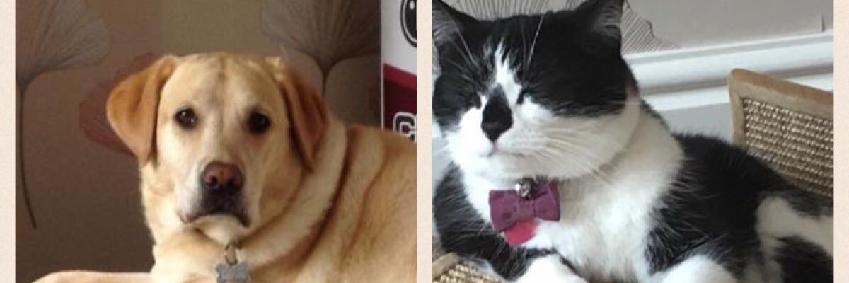 steads1962's profile banner image
