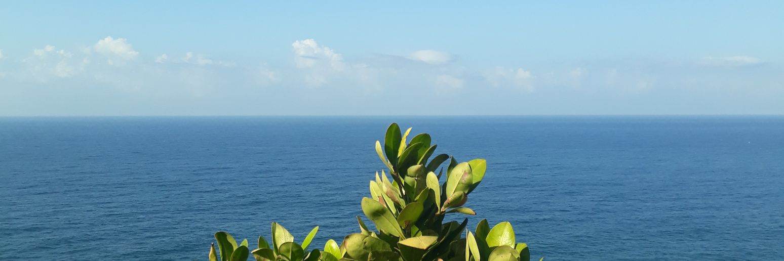 FDSRaoni's profile banner image