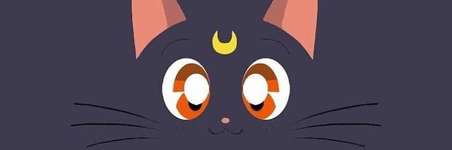S_s_jP333's profile banner image