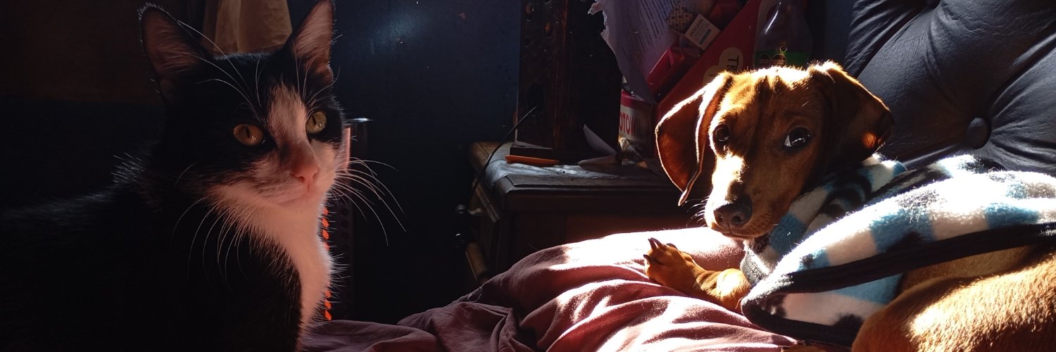 BarbiCucolo's profile banner image