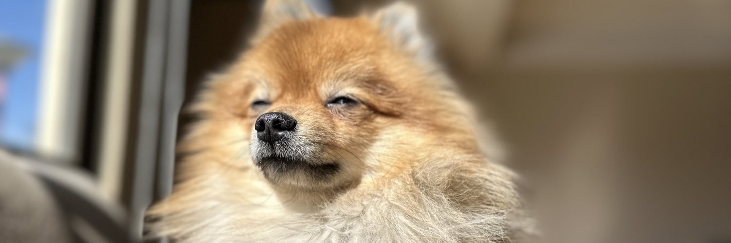MBazoalto's profile banner image