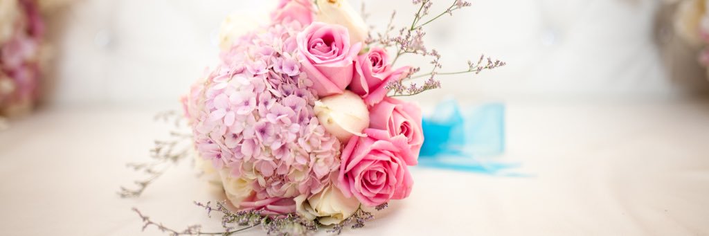 ara_berry's profile banner image