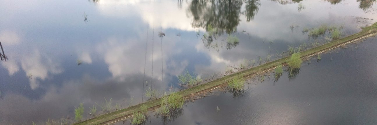 Антон Пострунин banner