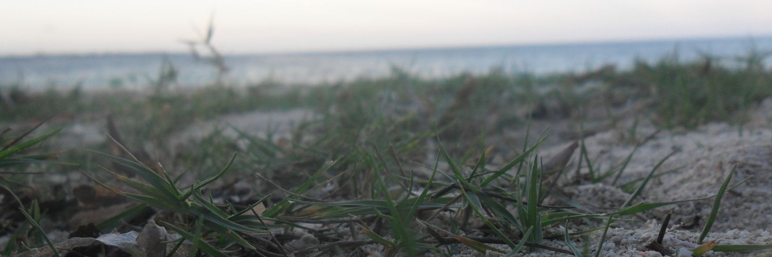 batohalberto's profile banner image