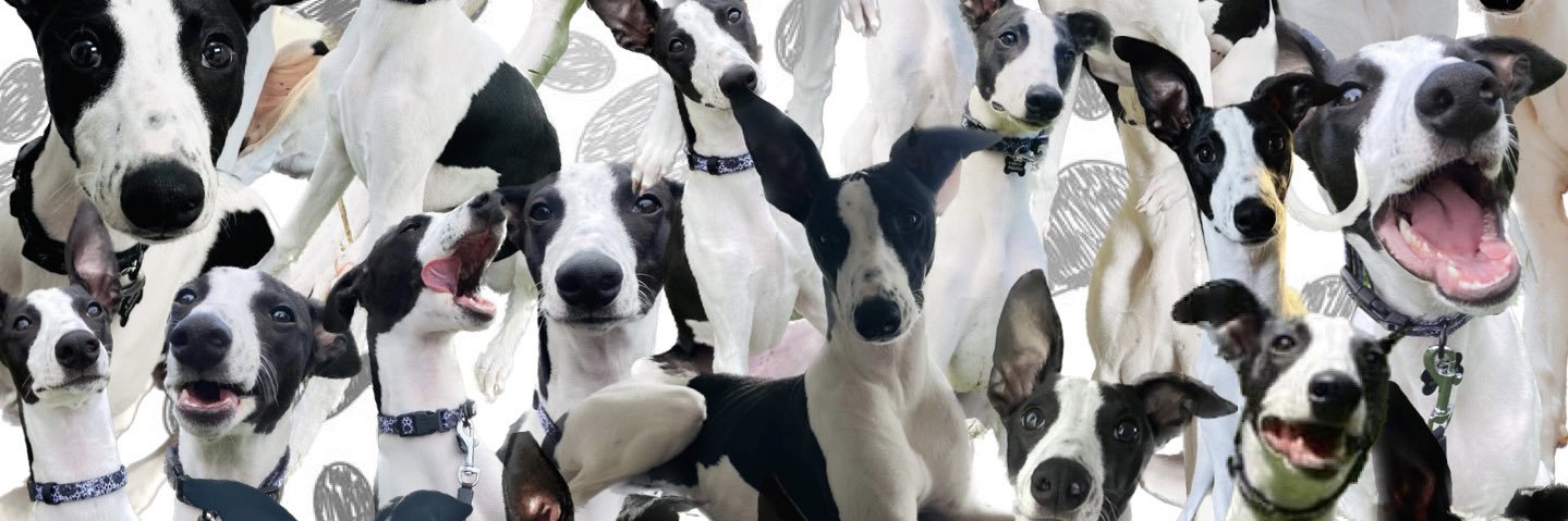 katie_ew's profile banner image