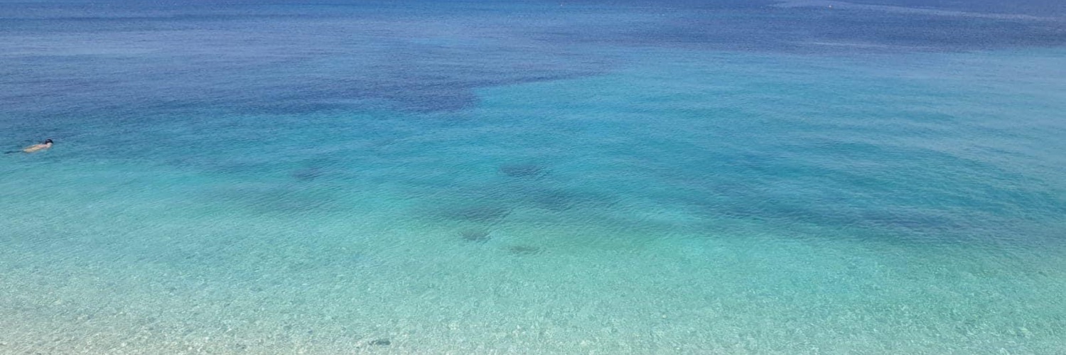 albertogiannon1's profile banner image