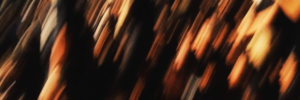 Mellonzz Profile Banner