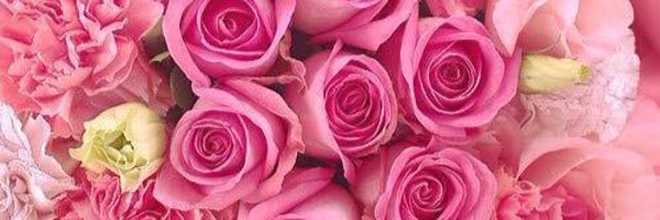 t6hqhMBtYxtYXKG Profile Banner