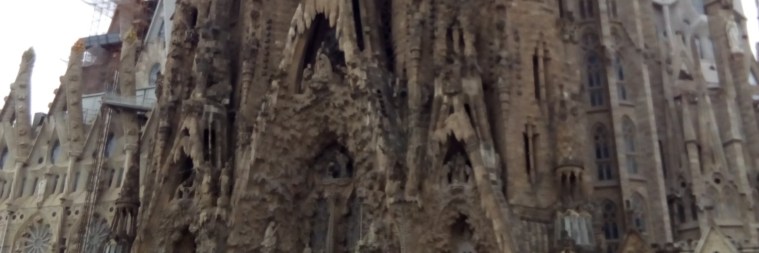 Joserra1444's profile banner image