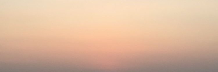 ddaisyqu's profile banner image