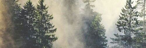 Army Of Seals✨ banner