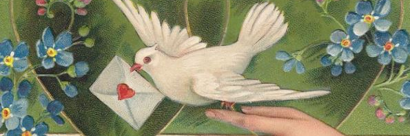 KajaSepp's profile banner image